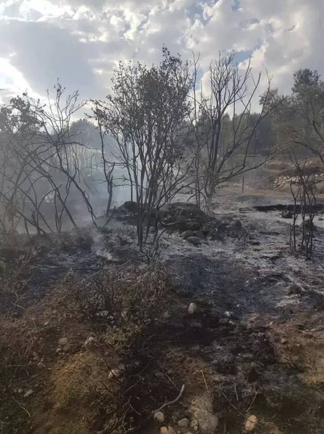 Burdur'da çıkan orman yangını kontrol altına alındı