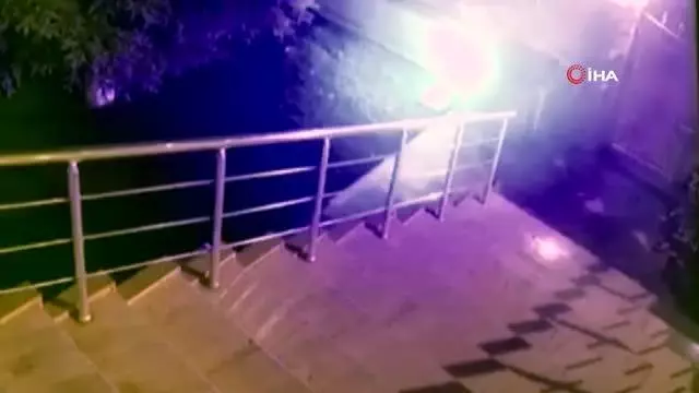Cesur kedi apartmana girmek isteyen tilkiyi böyle püskürttü Cesur kedi apartmana girmek isteyen tilkiyi böyle püskürttü
