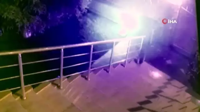 Cesur kedi apartmana girmek isteyen tilkiyi böyle püskürttü