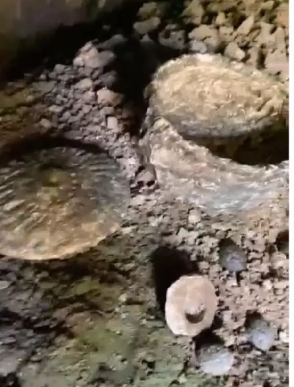 Kayıp mağarayı çoban buldu! İçinden milattan önce yapılmış tatlı çıktı Kayıp mağarayı çoban buldu! İçinden milattan önce yapılmış tatlı çıktı