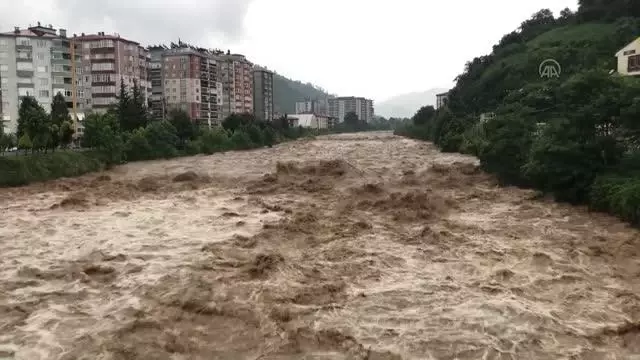 Fındıklı'da sağanak nedeniyle Arılı Deresi taştı (1) Fındıklı'da sağanak nedeniyle Arılı Deresi taştı (1)