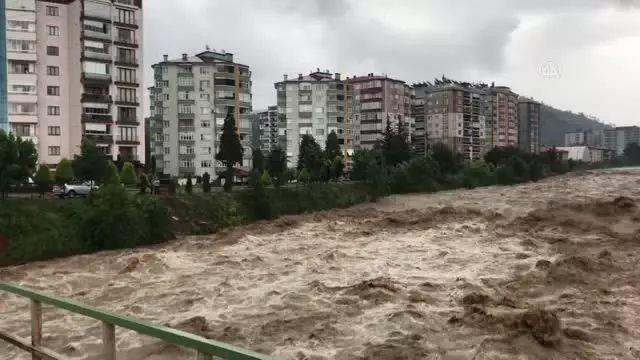 Fındıklı'da sağanak nedeniyle Arılı Deresi taştı (1)