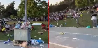 Görüntüler İstanbul'dan! Yeşilköy sahilindeki çöp dağları isyan ettirdi