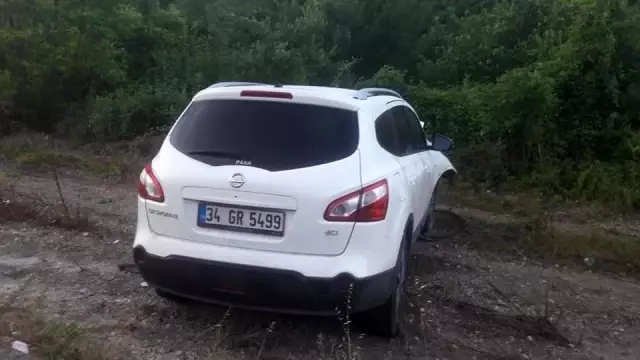 Hafif ticari aracın çarptığı inek telef oldu