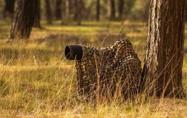 He photographed every moment of the jungle cat for 5 days