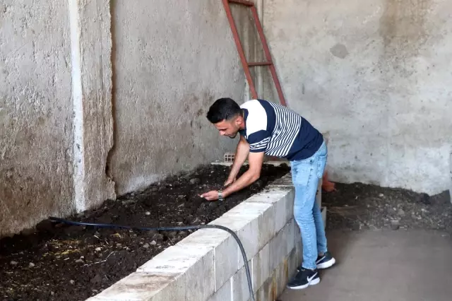 İnternette görüp başladı...1 milyon solucanla aylık 1 ton gübre üretiyor