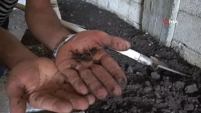 İnternette görüp başladı...1 milyon solucanla aylık 1 ton gübre üretiyor