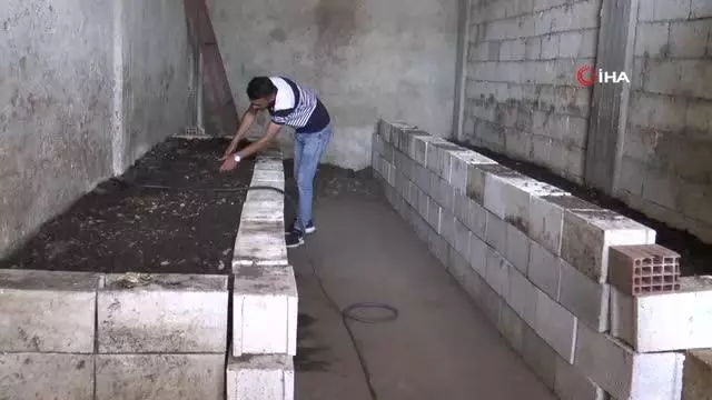 İnternette görüp başladı...1 milyon solucanla aylık 1 ton gübre üretiyor