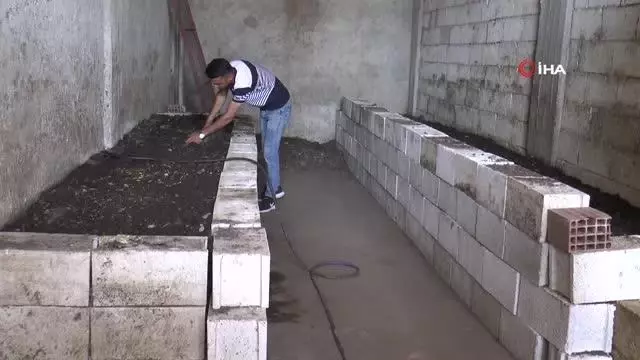 İnternette görüp başladı...1 milyon solucanla aylık 1 ton gübre üretiyor