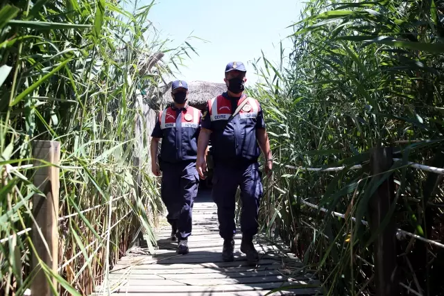 Son dakika gündem: Jandarmanın özel timi çevre ve hayvanlar için mesaide