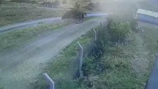 Başkentte kaçan kurbanlığı yakalamaya çalışırken kaybolan genci arama çalışmaları sürüyor