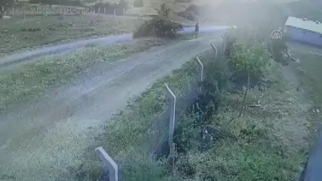 Başkentte kaçan kurbanlığı yakalamaya çalışırken kaybolan genci arama çalışmaları sürüyor
