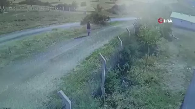 Kaçan kurbanlığın peşinden giden tıp öğrencisinin son görüntüleri ortaya çıktı Kaçan kurbanlığın peşinden giden tıp öğrencisinin son görüntüleri ortaya çıktı