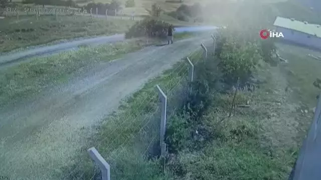 Kaçan kurbanlığın peşinden giden tıp öğrencisinin son görüntüleri ortaya çıktı