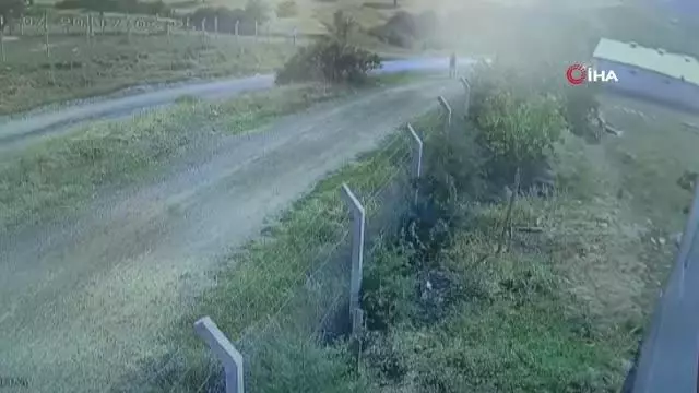 Kaçan kurbanlığın peşinden giden tıp öğrencisinin son görüntüleri ortaya çıktı