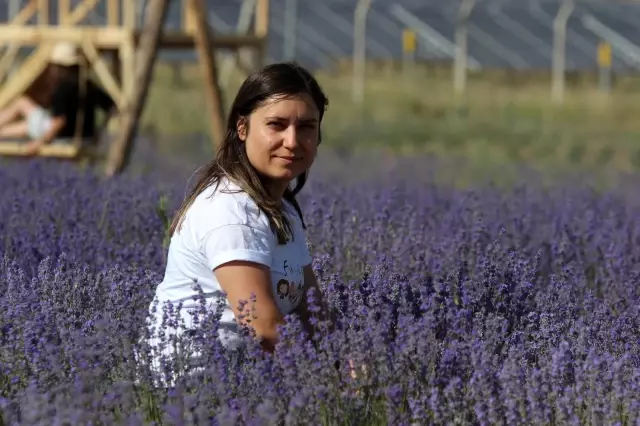 Kadının girişimci bozkıra lavanta bahçesi kurdu