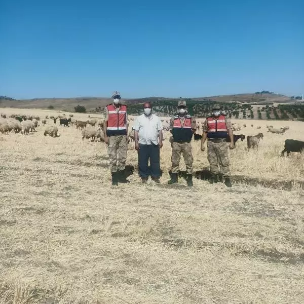 Kaybolan çoban ve sürüsü dronla bulundu Kaybolan çoban ve sürüsü dronla bulundu