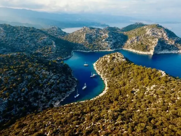 KEKOVA ESKİ GÜNLERİNE DÖNDÜ, TURİST AKININA UĞRADI