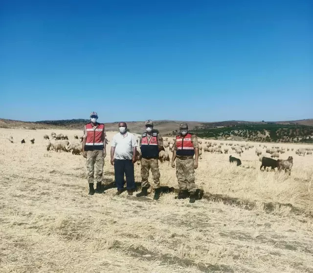 Son dakika haberleri... Kilis'te jandarma ekipleri, kaybolan 250 küçükbaş hayvanı drone desteğiyle buldu Son dakika haberleri... Kilis'te jandarma ekipleri, kaybolan 250 küçükbaş hayvanı drone desteğiyle buldu