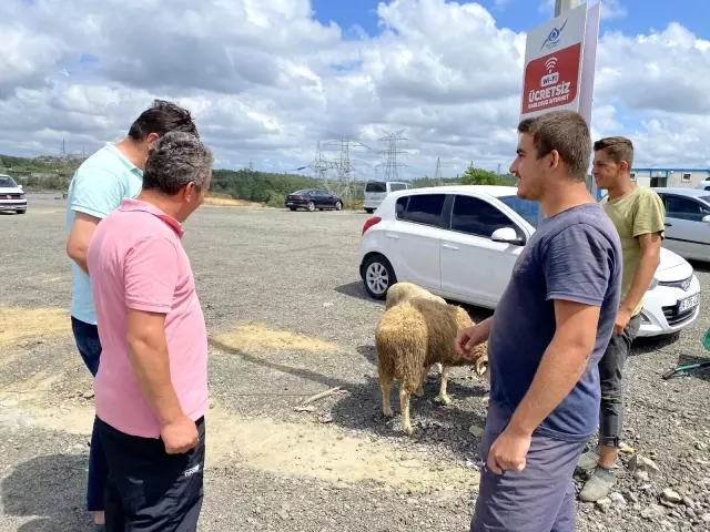 Kurban çadırları bir yandan toplanırken bir yandan pazarlıklar sürüyor