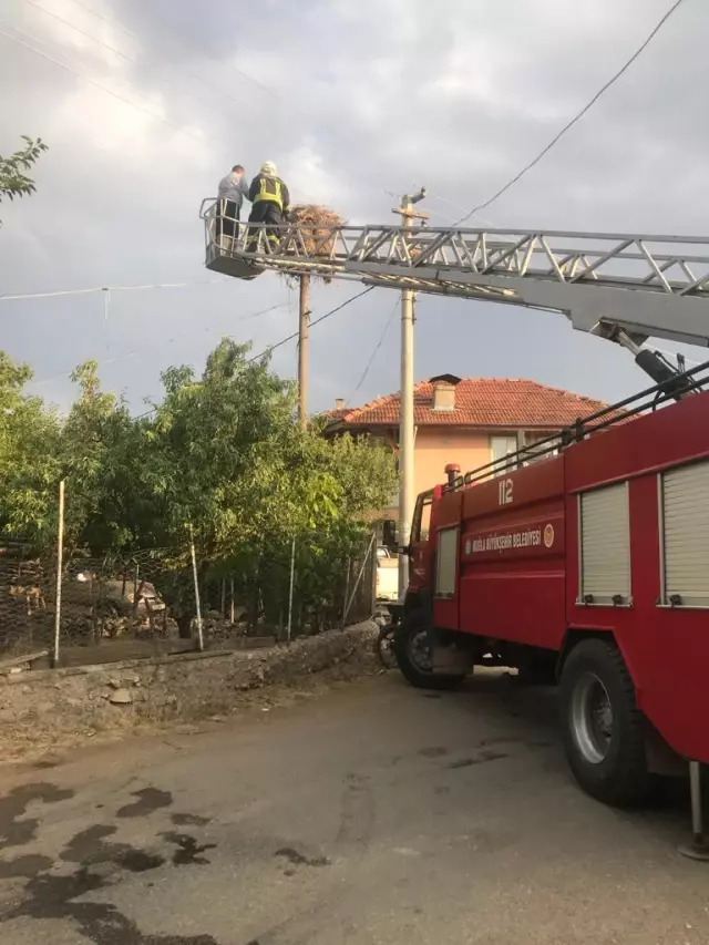 Muğla'da ayağına ip dolanan leyleği itfaiye kurtardı Muğla'da ayağına ip dolanan leyleği itfaiye kurtardı