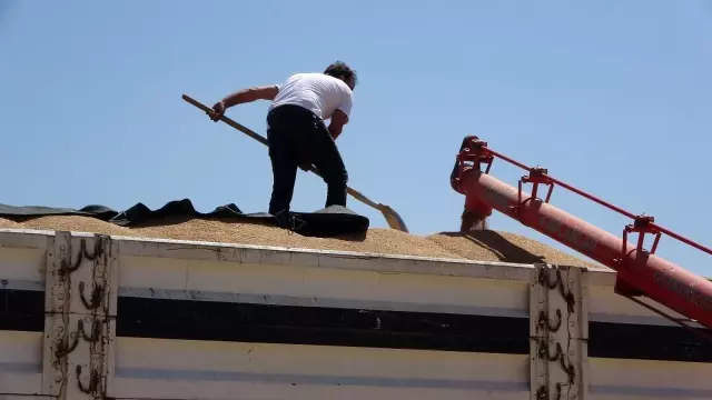 Muş'ta buğday satışlarına başlandı