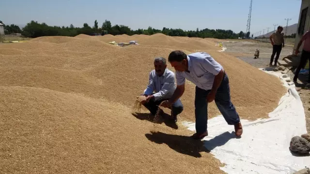 Muş'ta buğday satışlarına başlandı