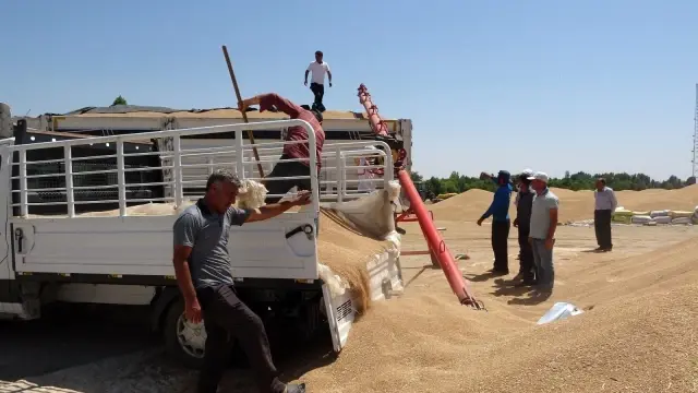 Muş'ta buğday satışlarına başlandı