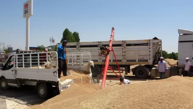 Muş'ta buğday satışlarına başlandı