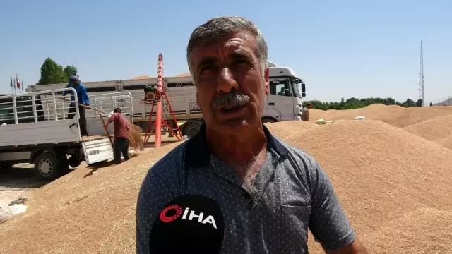 Muş'ta buğday satışlarına başlandı