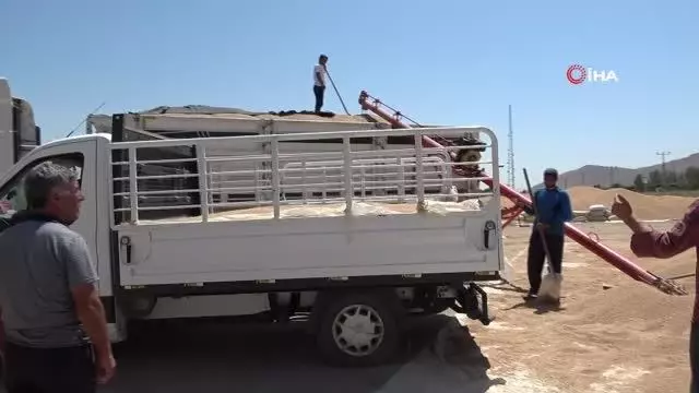 Muş'ta buğday satışlarına başlandı