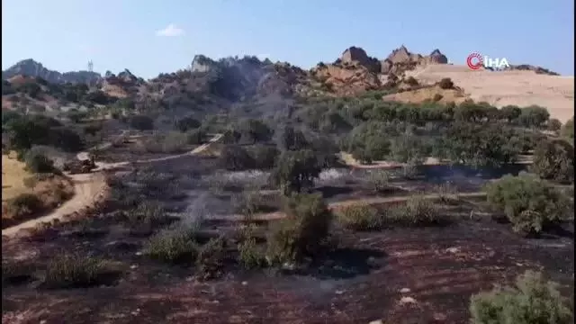 Nazilli'de tarım arazisi yandı Nazilli'de tarım arazisi yandı