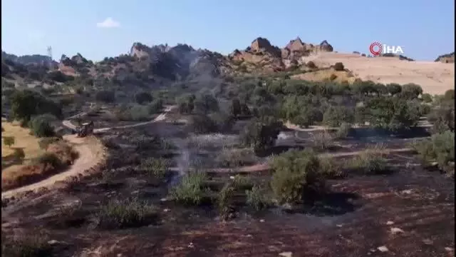 Nazilli'de tarım arazisi yandı