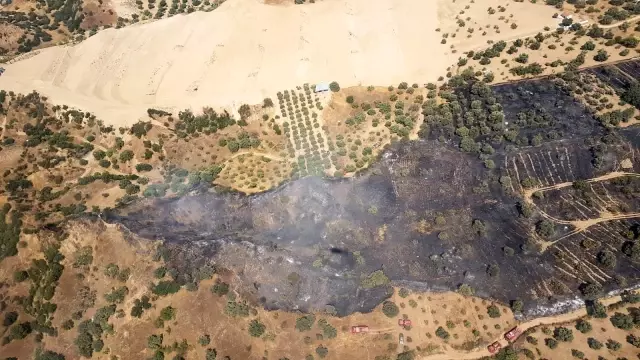 Nazilli'de tarım arazisi yandı