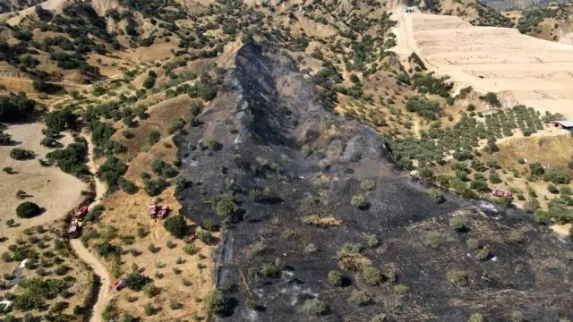 Nazilli'de tarım arazisi yandı