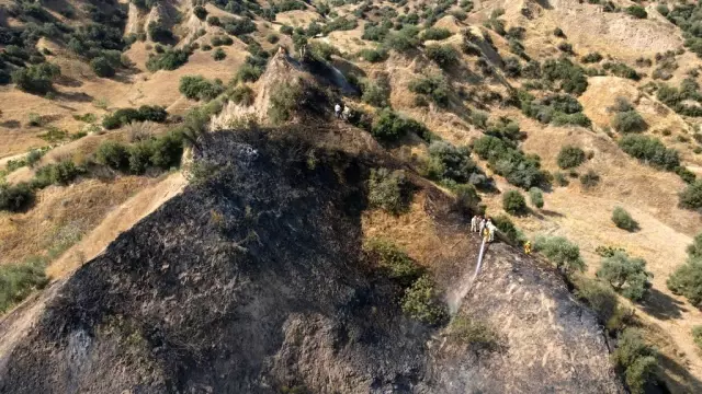 Nazilli'de tarım arazisi yandı