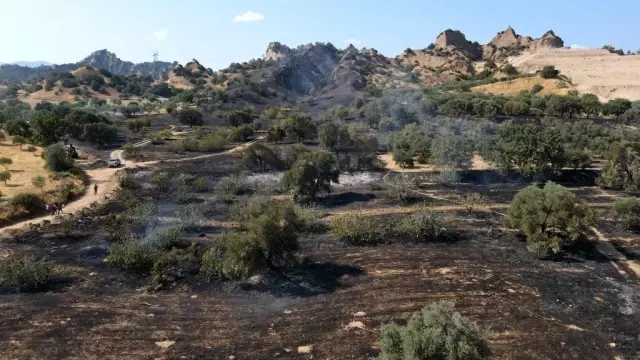 Nazilli'de tarım arazisi yandı