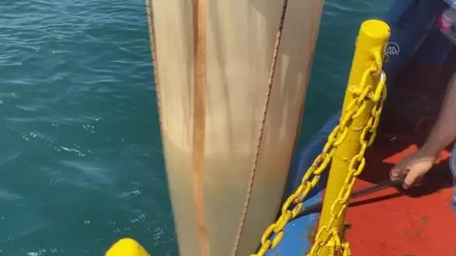 ODTÜ 'Bilim-2' Gemisi, Marmara'daki araştırmalarına ağustosta devam edecek (2)