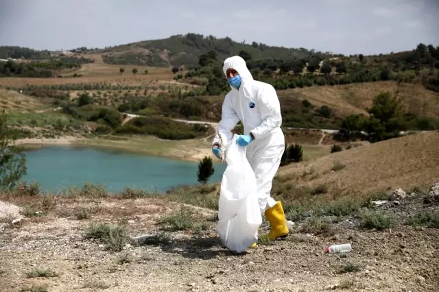Ölüme terk edilen civcivler toplanmaya başladı