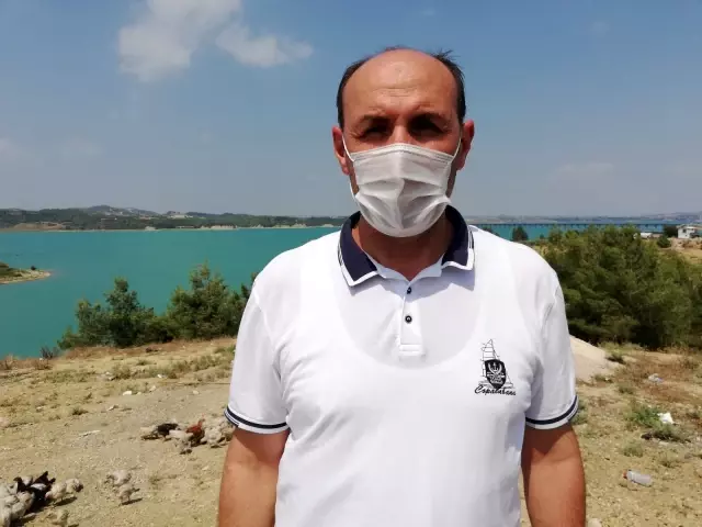 Ölüme terk edilen civcivler toplanmaya başladı