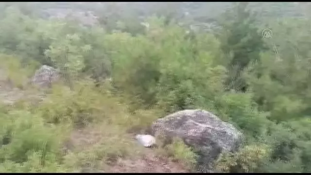 Son dakika haberi: Otomobilin şarampole devrilmesi sonucu biri çocuk 3 kişi yaralandı Son dakika haberi: Otomobilin şarampole devrilmesi sonucu biri çocuk 3 kişi yaralandı