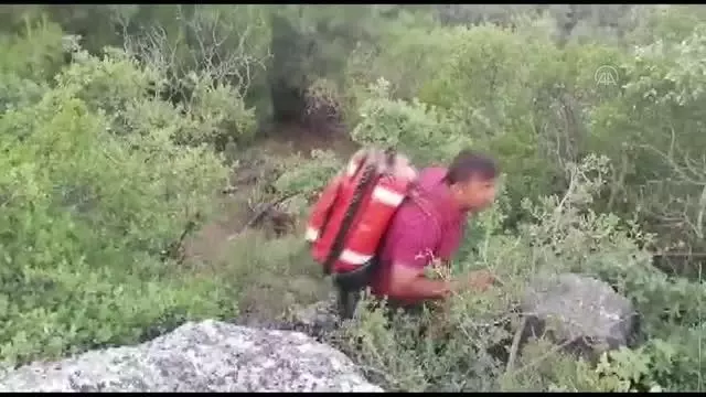 Son dakika haberi: Otomobilin şarampole devrilmesi sonucu biri çocuk 3 kişi yaralandı