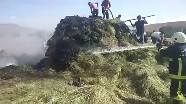 Özalp'ta 2 bin bağ ot yandı