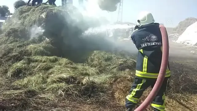 Özalp'ta 2 bin bağ ot yandı