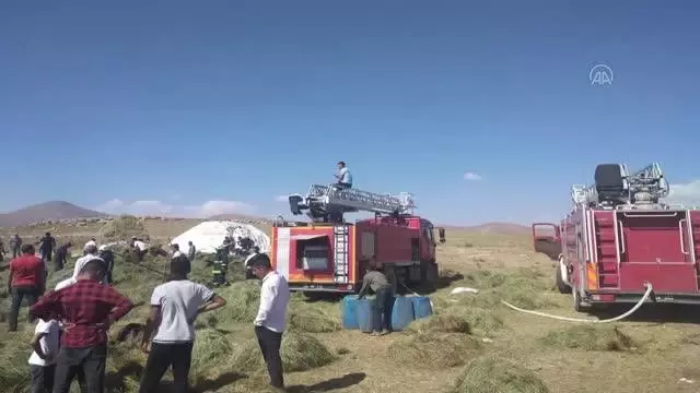 Özalp'ta 2 bin bağ ot yandı