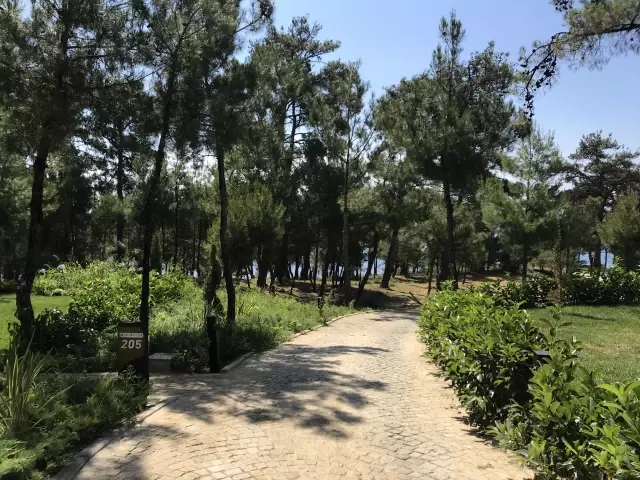 Saros Körfezi'ne ilgi yeni yatırımlarla arttı