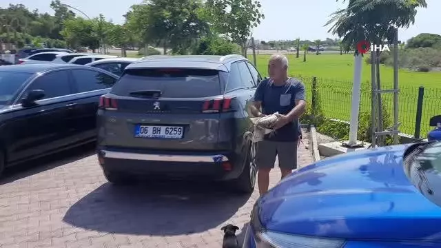 Serinlemek için kimyasal atık yağa giren bir leylek yavrusu daha kurtarıldı Serinlemek için kimyasal atık yağa giren bir leylek yavrusu daha kurtarıldı