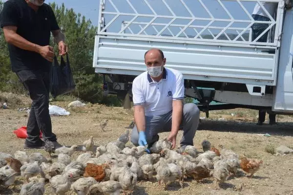 ADANA İL TARIM VE ORMAN MÜDÜRÜ TEKİN; 'TELEF OLAN CİVCİVLERİ LABORATUVARA GÖNDERİYORUZ'