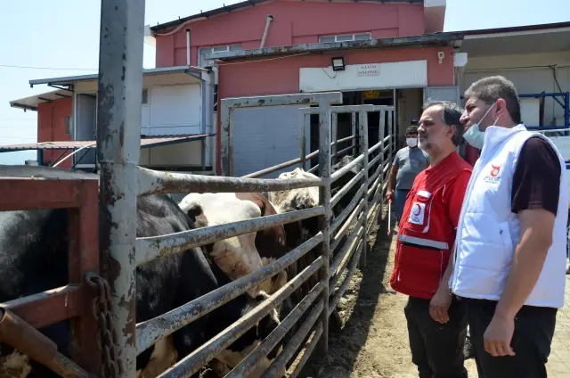 Türk Kızılay Genel Müdürü Altan, Et ve Süt Kurumuna ait mezbahada incelemelerde bulundu