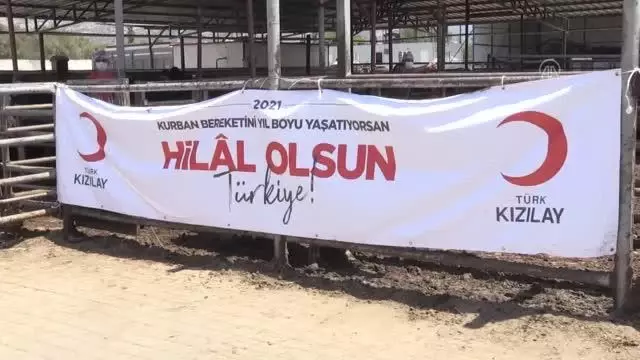 Türk Kızılay Genel Müdürü Altan, Et ve Süt Kurumuna ait mezbahada incelemelerde bulundu